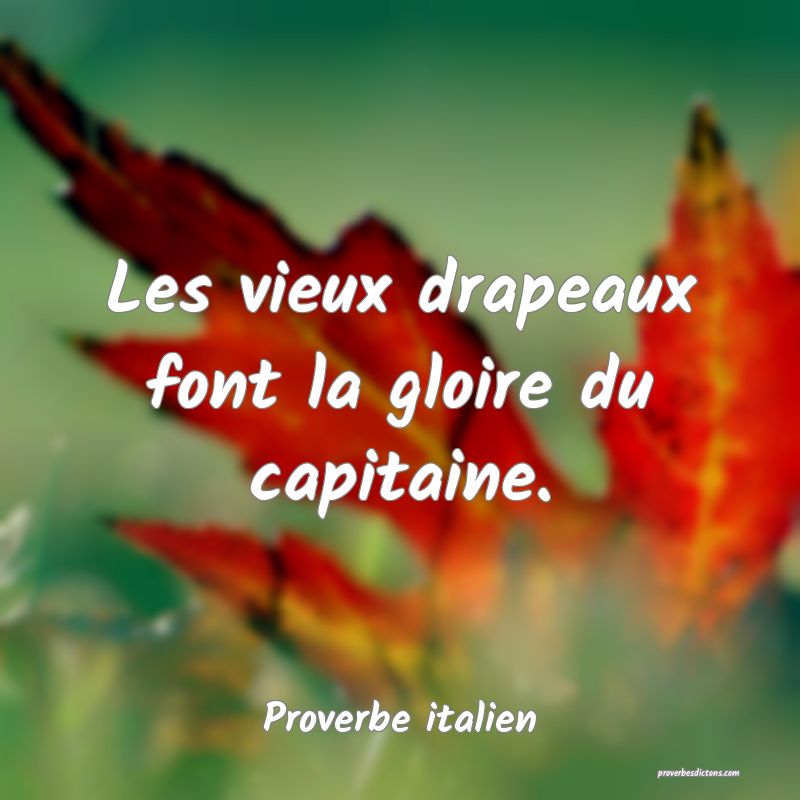 Les vieux drapeaux font la gloire du capitaine.