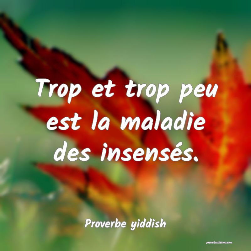 Trop et trop peu est la maladie des insensés.