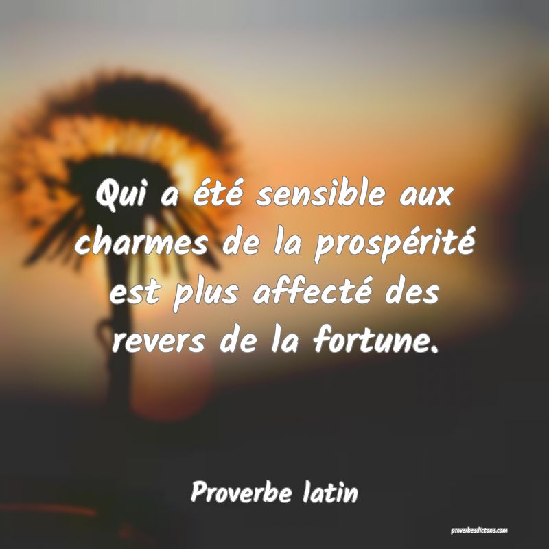 Qui a été sensible aux charmes de la prospérité est plus affecté des revers de la fortune.