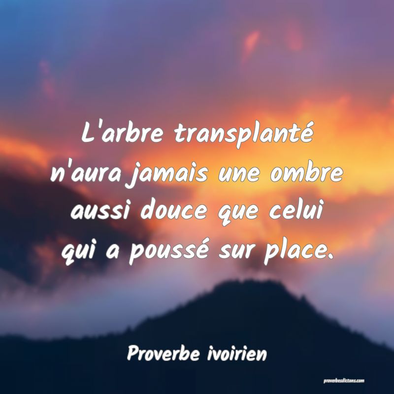 L'arbre transplanté n'aura jamais une ombre aussi douce que celui qui a poussé sur place.