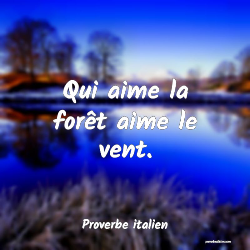 Qui aime la forêt aime le vent.