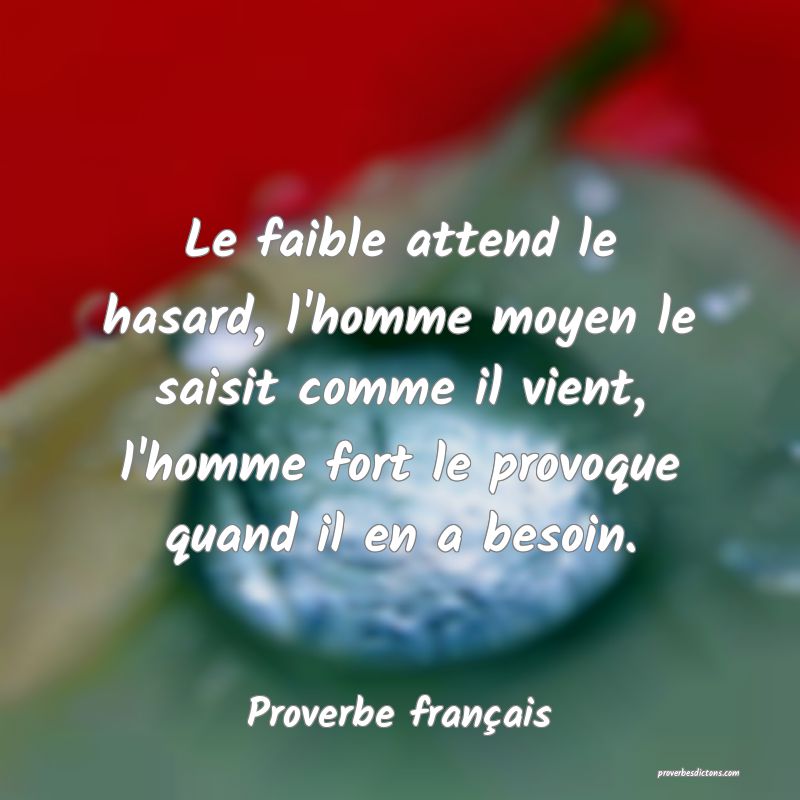 Le faible attend le hasard, l'homme moyen le saisit comme il vient, l'homme fort le provoque quand il en a besoin.
