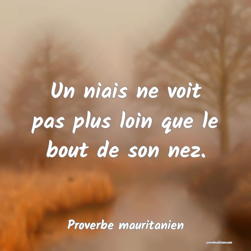Un niais ne voit pas plus loin que le bout de son nez.
