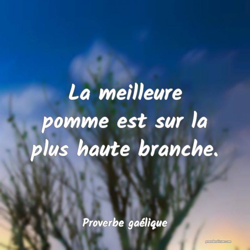La meilleure pomme est sur la plus haute branche.
