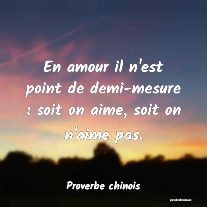 En amour il n'est point de demi-mesure : soit on aime, soit on n'aime pas.
