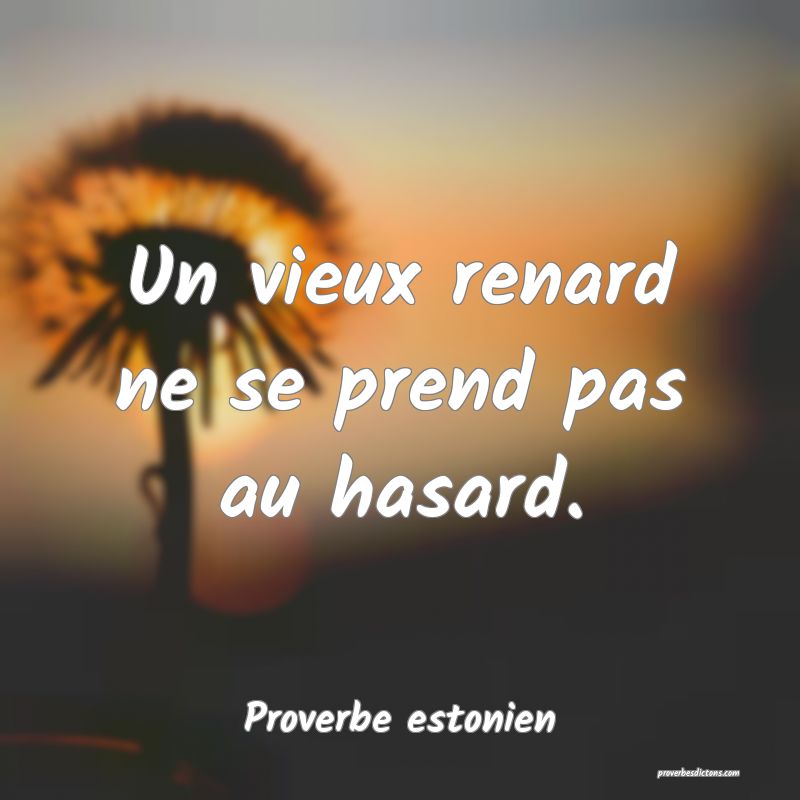 Un vieux renard ne se prend pas au hasard.