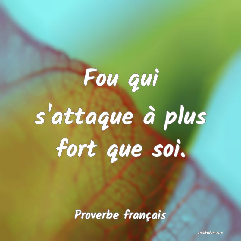 Fou qui s'attaque à plus fort que soi.