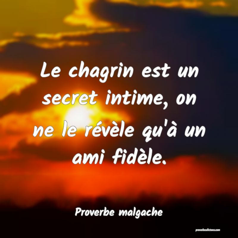 Le chagrin est un secret intime, on ne le révèle qu'à un ami fidèle.
