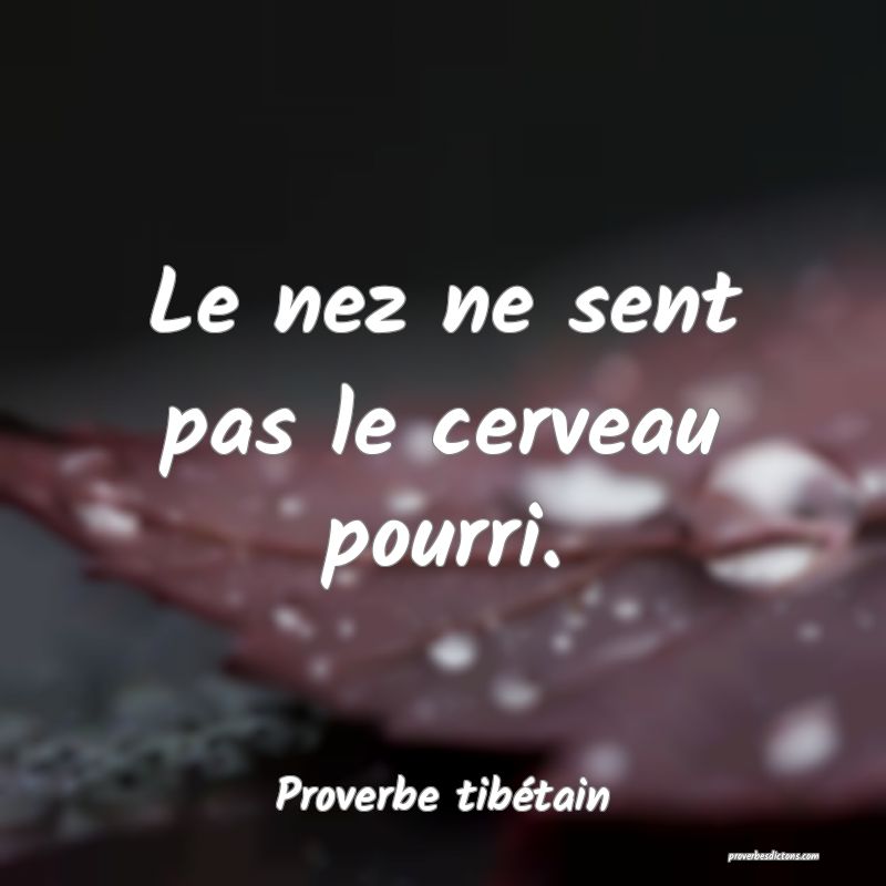 Le nez ne sent pas le cerveau pourri.