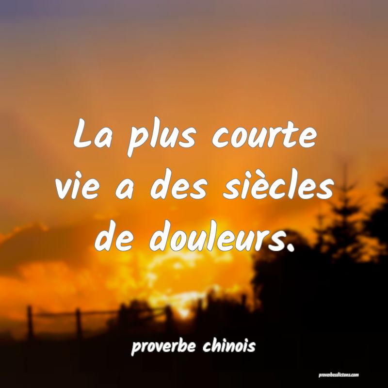  La plus courte vie a des siècles de douleurs.