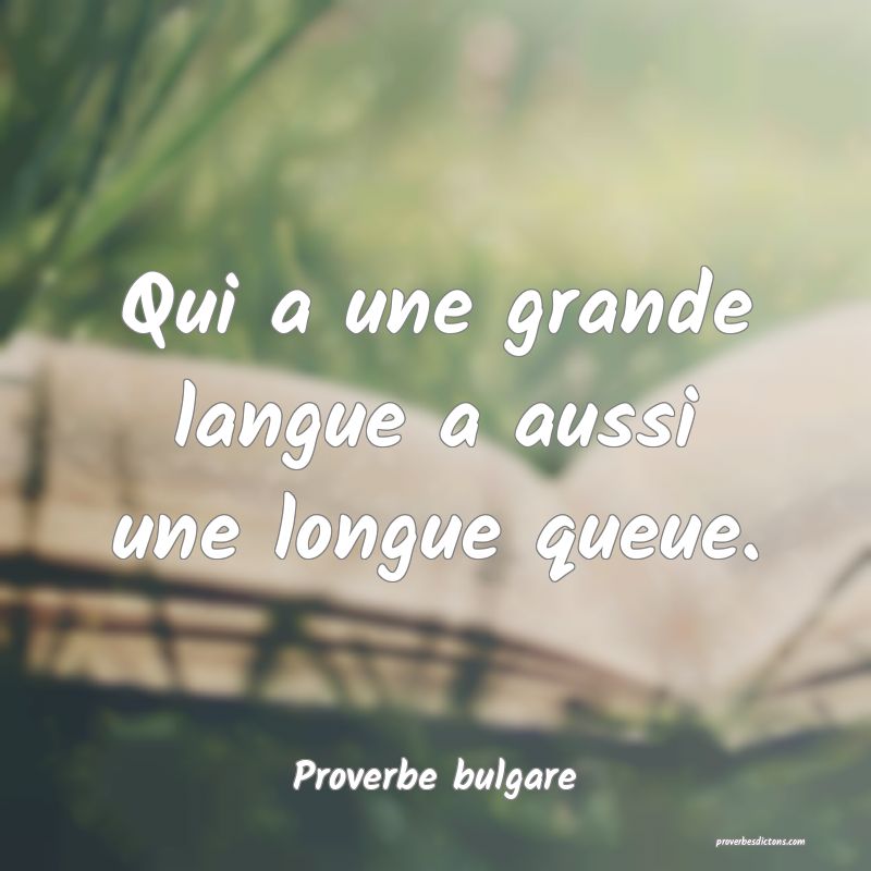 Qui a une grande langue a aussi une longue queue.