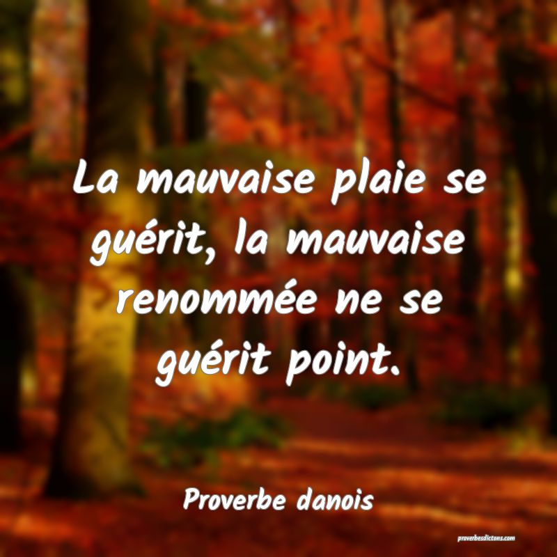 La mauvaise plaie se guérit, la mauvaise renommée ne se guérit point.