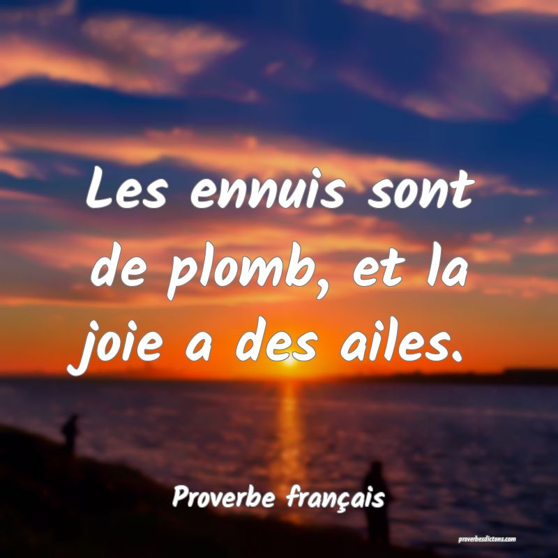 Les ennuis sont de plomb, et la joie a des ailes.