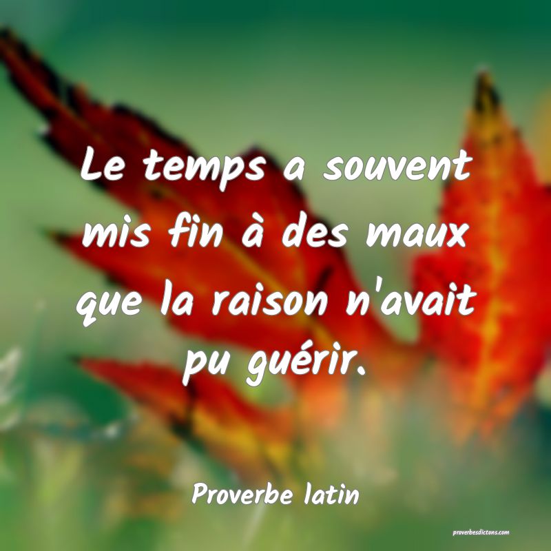 Le temps a souvent mis fin à des maux que la raison n'avait pu guérir.
