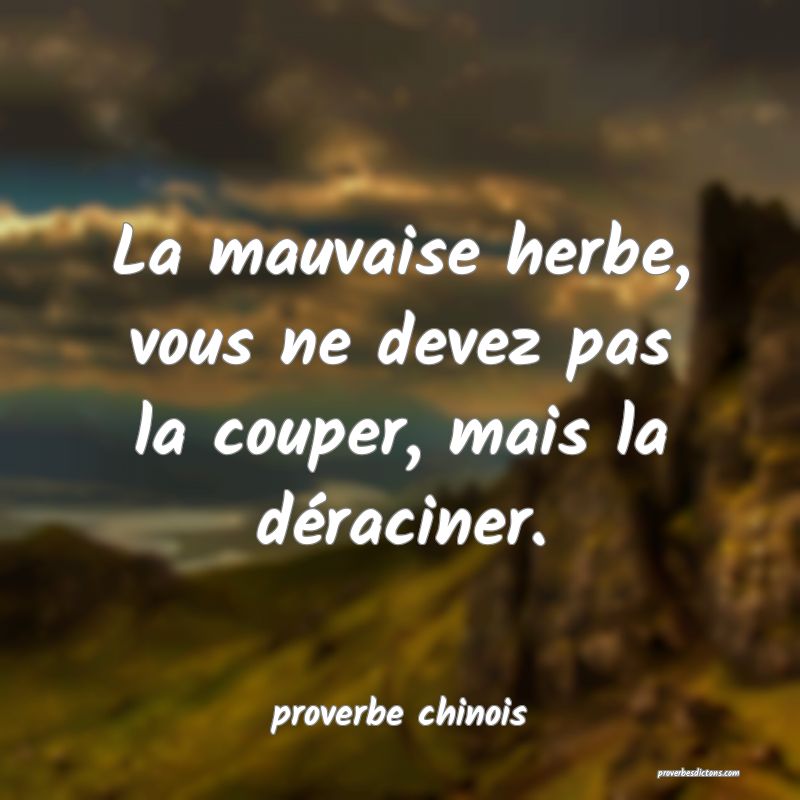  La mauvaise herbe, vous ne devez pas la couper, mais la déraciner.