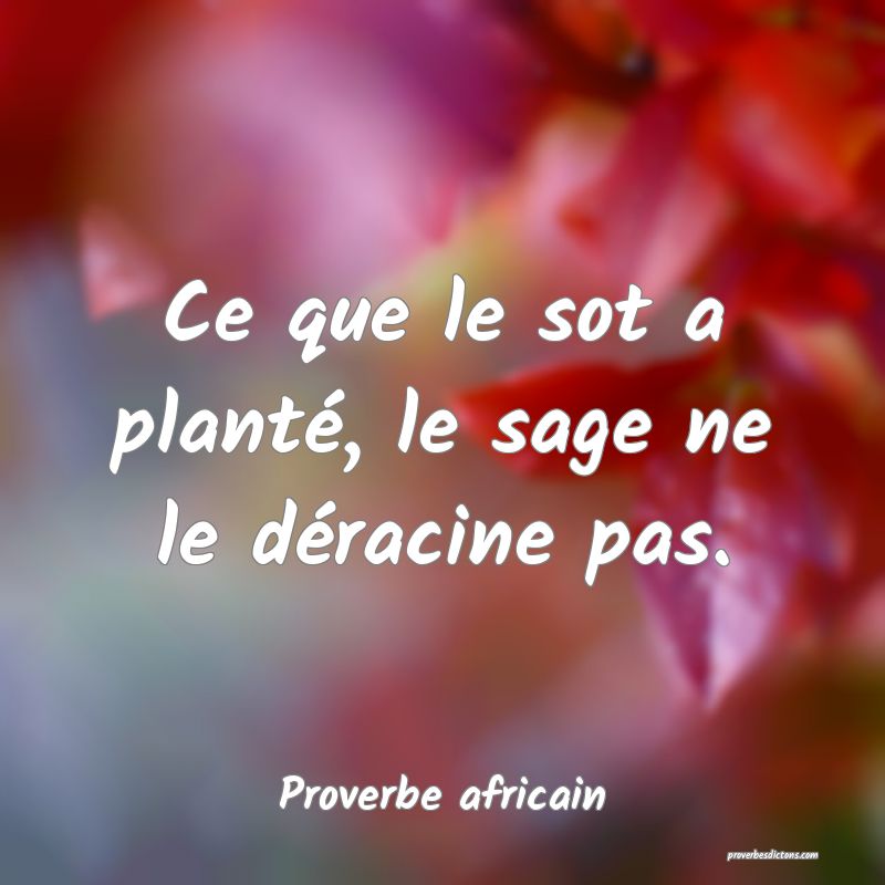 Ce que le sot a planté, le sage ne le déracine pas.