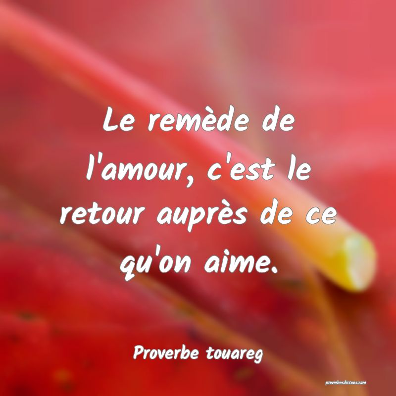 Le remède de l'amour, c'est le retour auprès de ce qu'on aime.