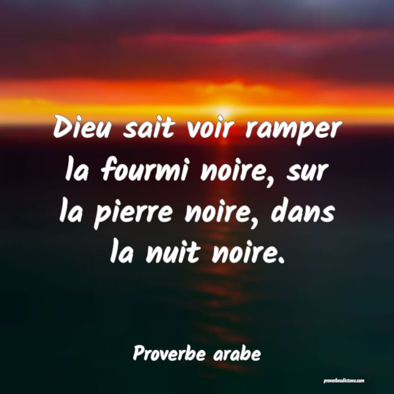 Dieu sait voir ramper la fourmi noire, sur la pierre noire, dans la nuit noire.