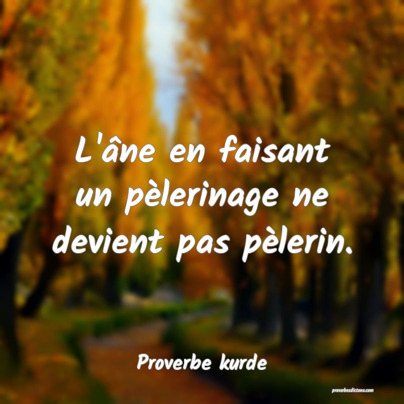 L'âne en faisant un pèlerinage ne devient pas pèlerin.