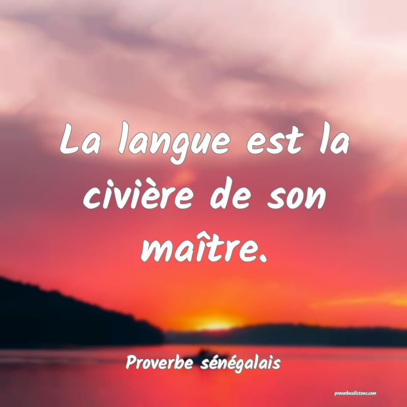 La langue est la civière de son maître.
