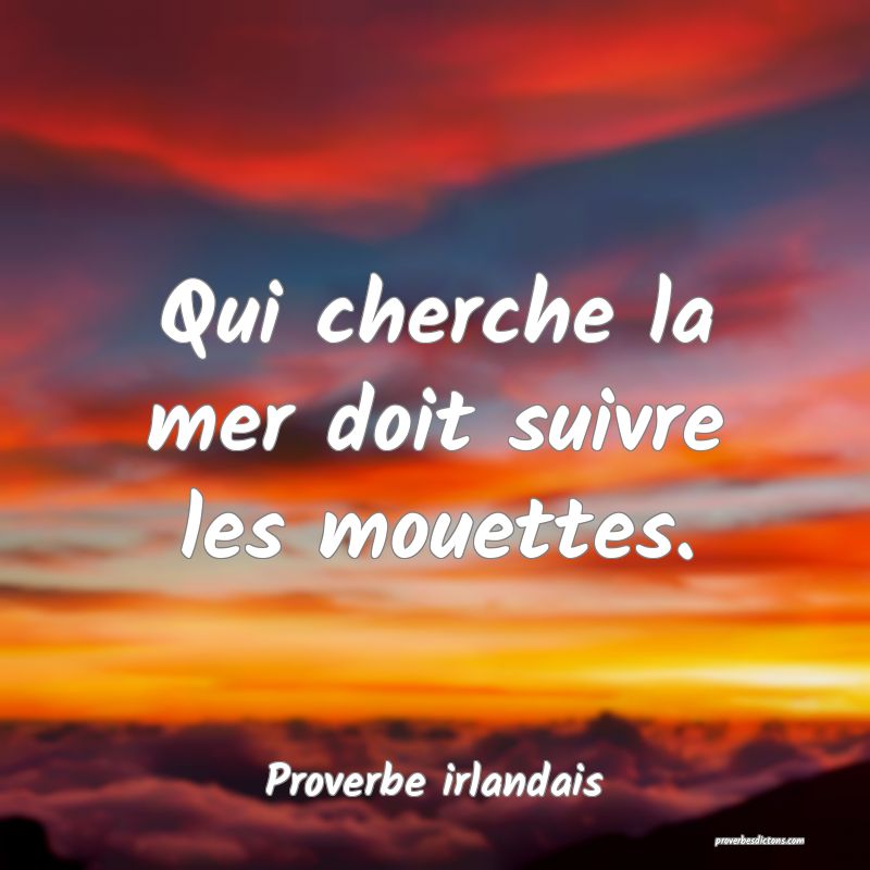 Qui cherche la mer doit suivre les mouettes.