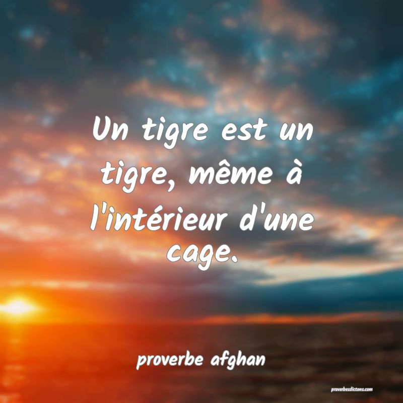 Un tigre est un tigre, même à l'intérieur d'une cage.