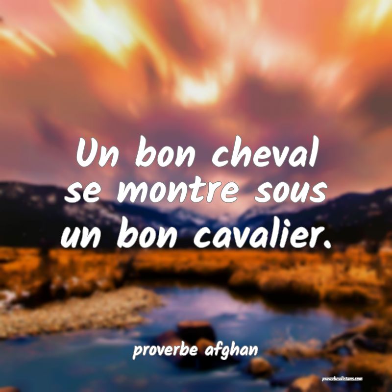 Un bon cheval se montre sous un bon cavalier.