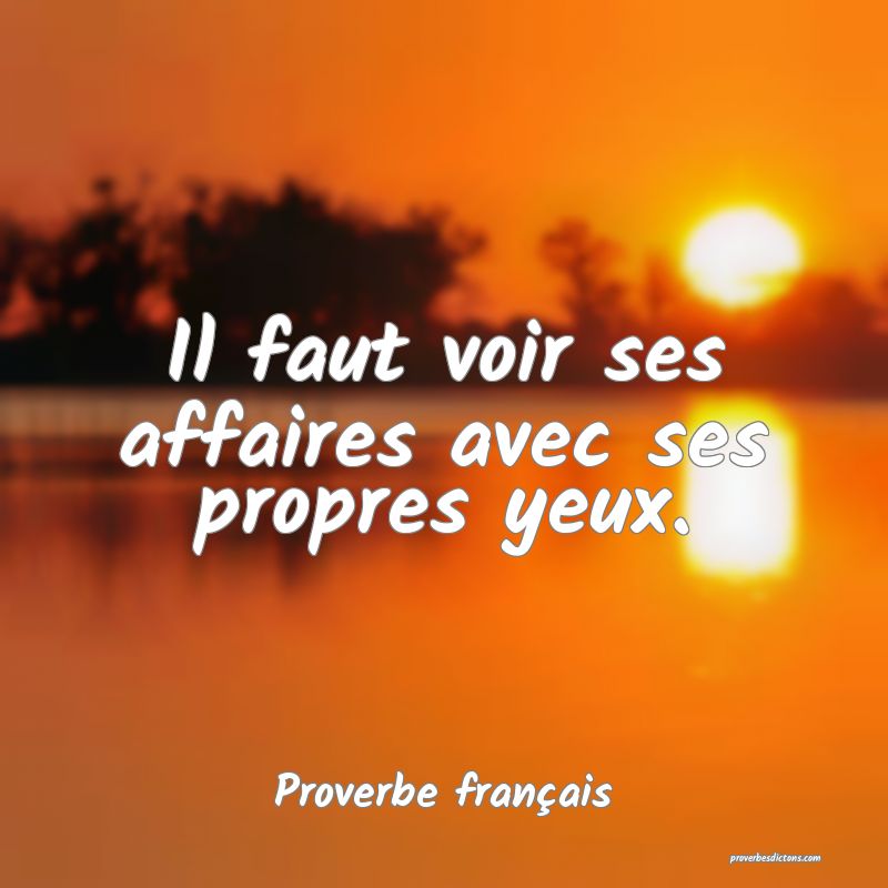Il faut voir ses affaires avec ses propres yeux.