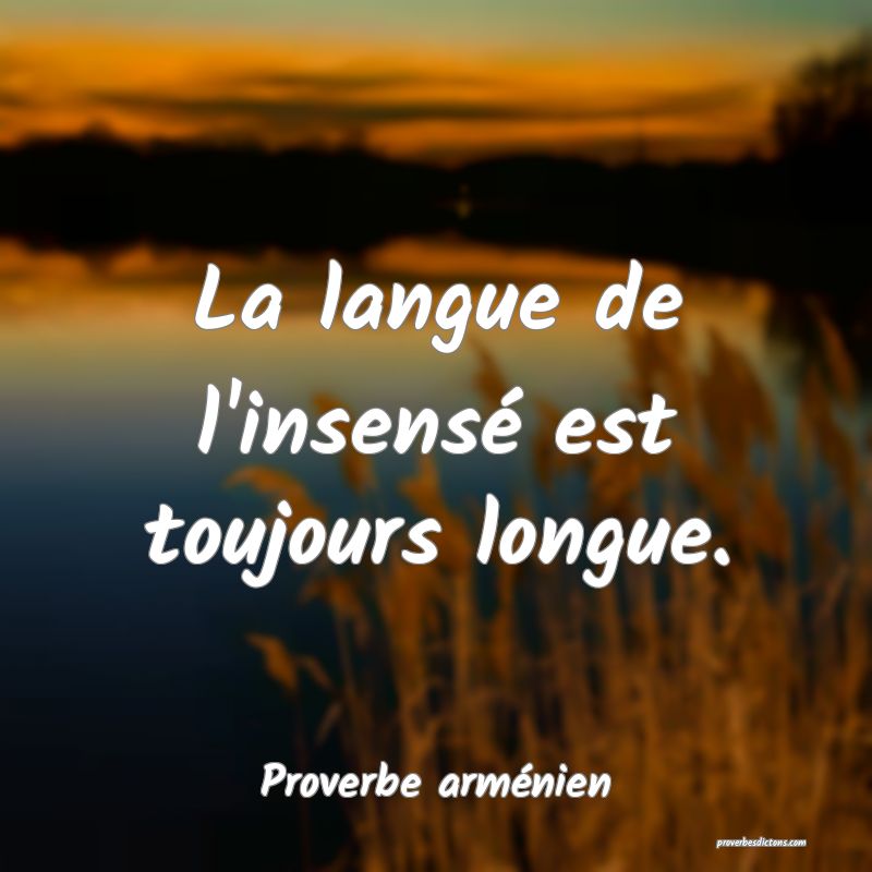 La langue de l'insensé est toujours longue.