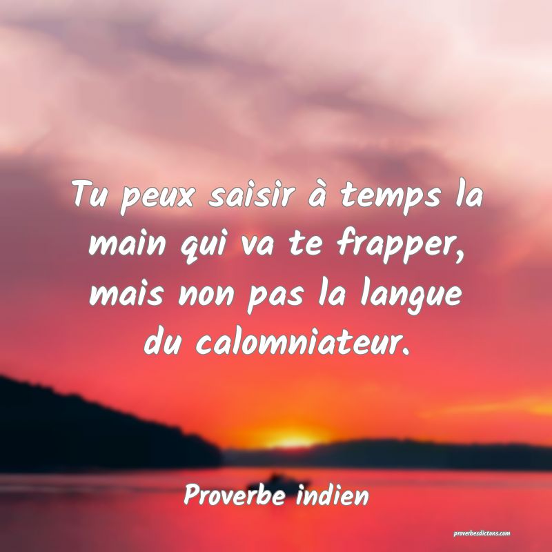 Tu peux saisir à temps la main qui va te frapper, mais non pas la langue du calomniateur.