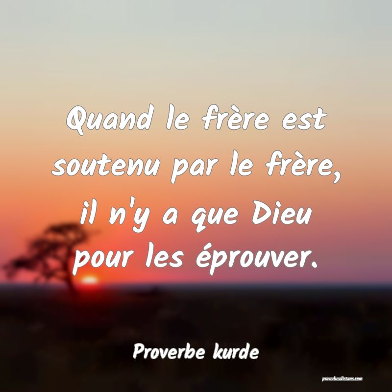 Quand le frère est soutenu par le frère, il n'y a que Dieu pour les éprouver.