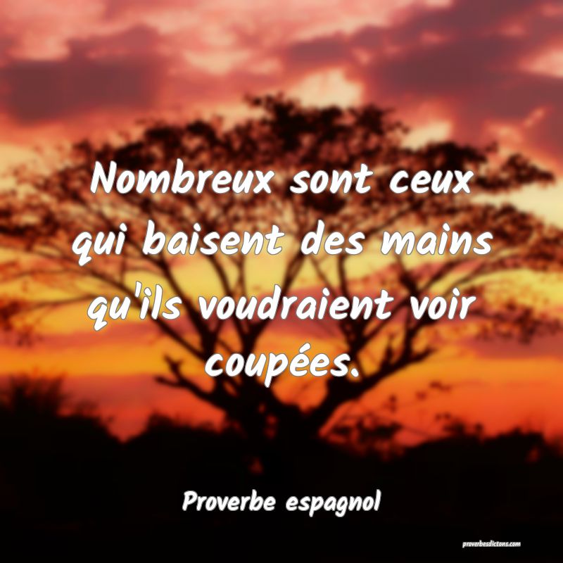 Nombreux sont ceux qui baisent des mains qu'ils voudraient voir coupées.