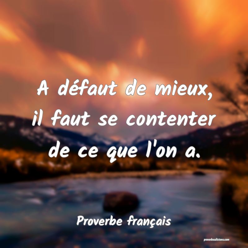 A défaut de mieux, il faut se contenter de ce que l'on a.