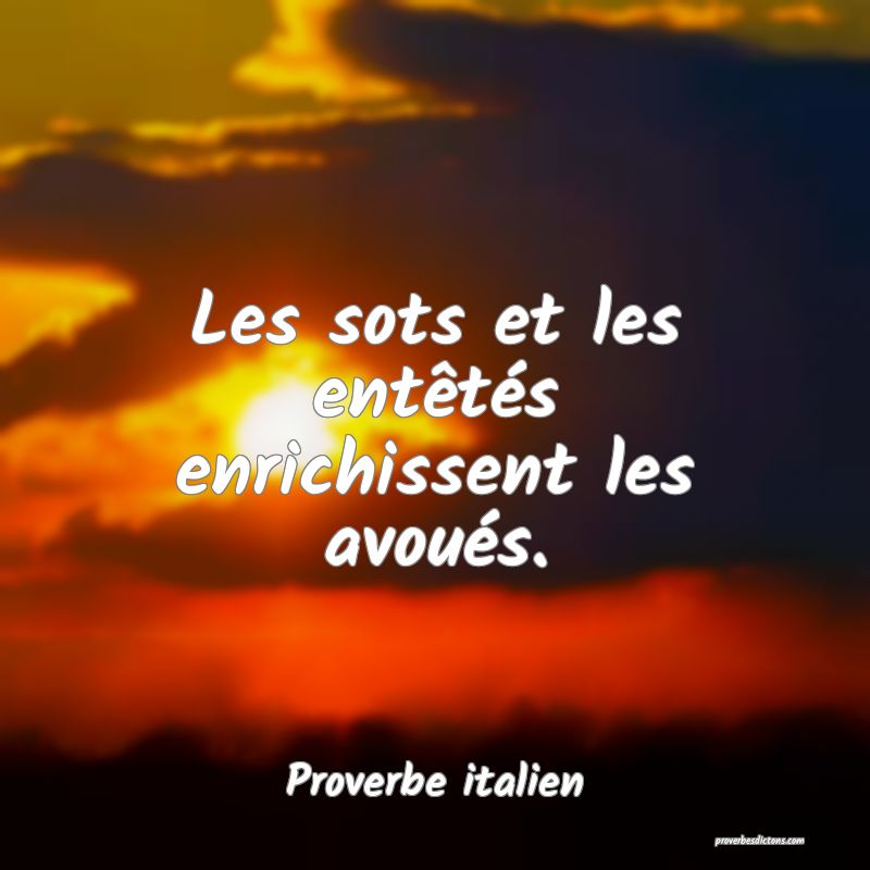 Les sots et les entêtés enrichissent les avoués.