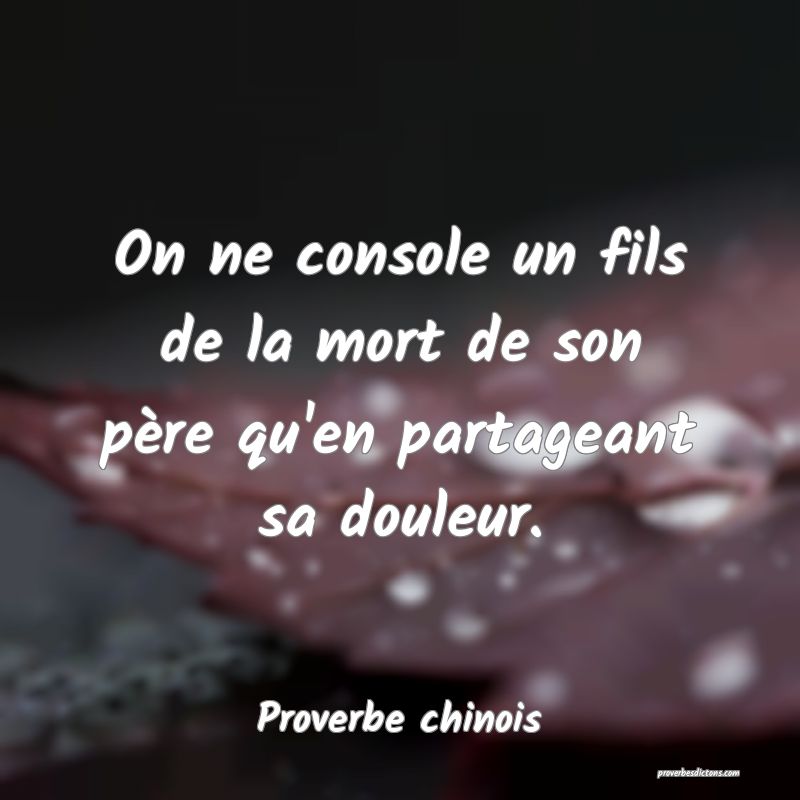 On ne console un fils de la mort de son père qu'en partageant sa douleur.