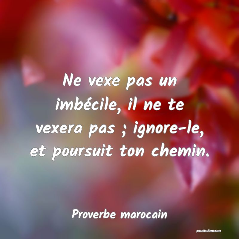 Ne vexe pas un imbécile, il ne te vexera pas ; ignore-le, et poursuit ton chemin.