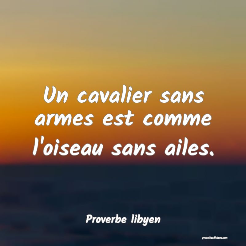 Un cavalier sans armes est comme l'oiseau sans ailes.