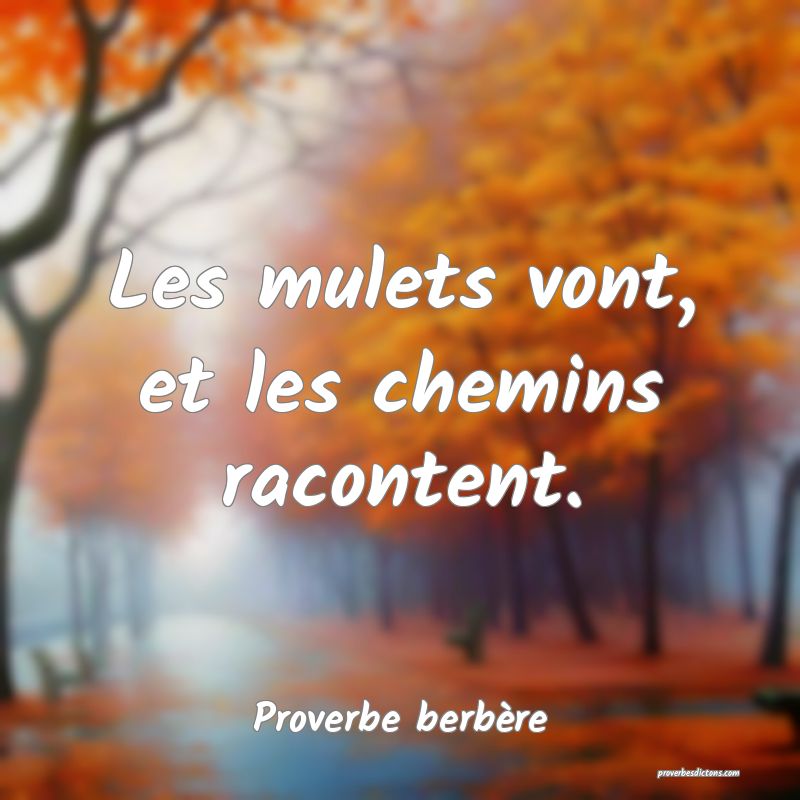 Les mulets vont, et les chemins racontent.
