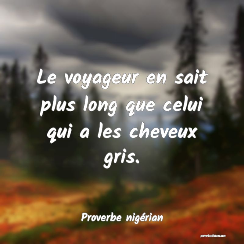 Le voyageur en sait plus long que celui qui a les cheveux gris.
