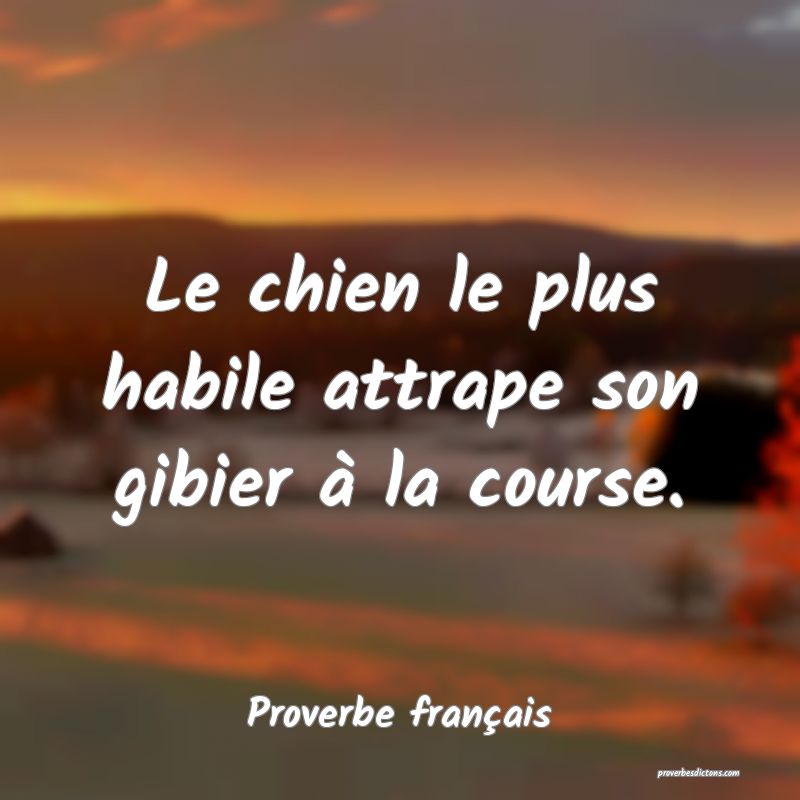 Le chien le plus habile attrape son gibier à la course.