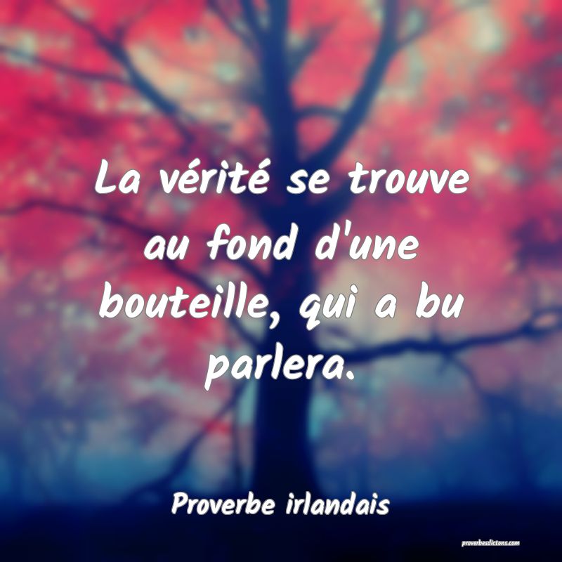 La vérité se trouve au fond d'une bouteille, qui a bu parlera.