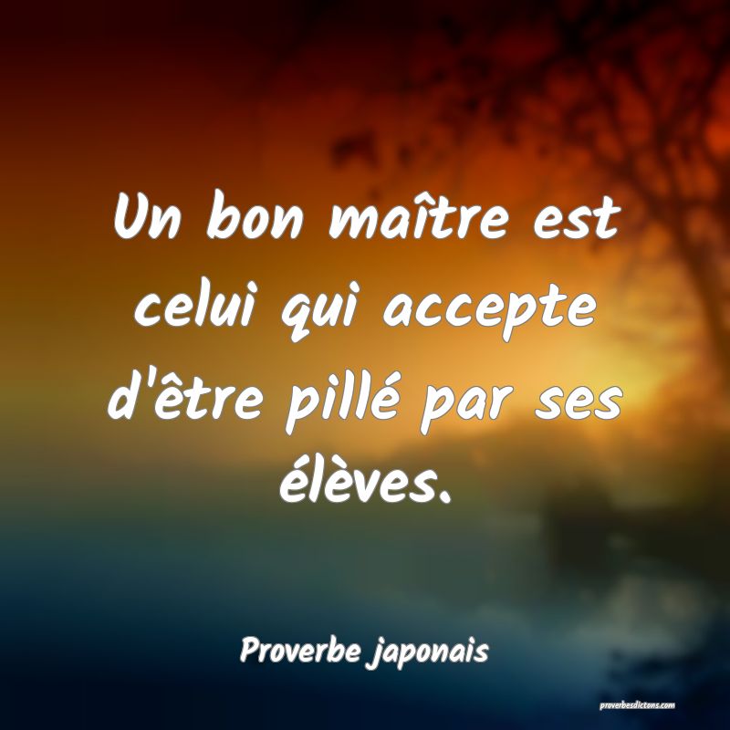 Un bon maître est celui qui accepte d'être pillé par ses élèves.