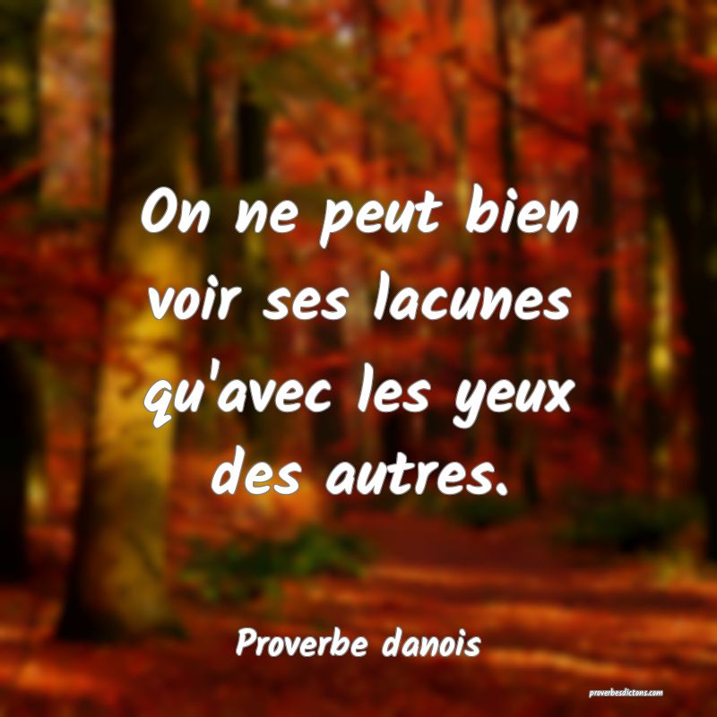 On ne peut bien voir ses lacunes qu'avec les yeux des autres.