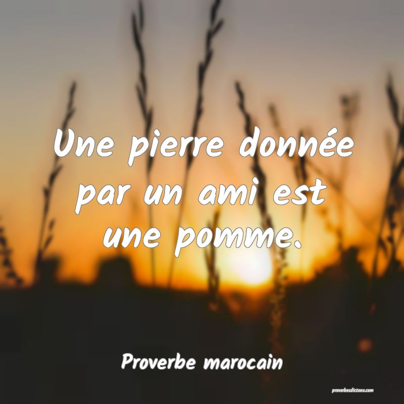  Une pierre donnée par un ami est une pomme.