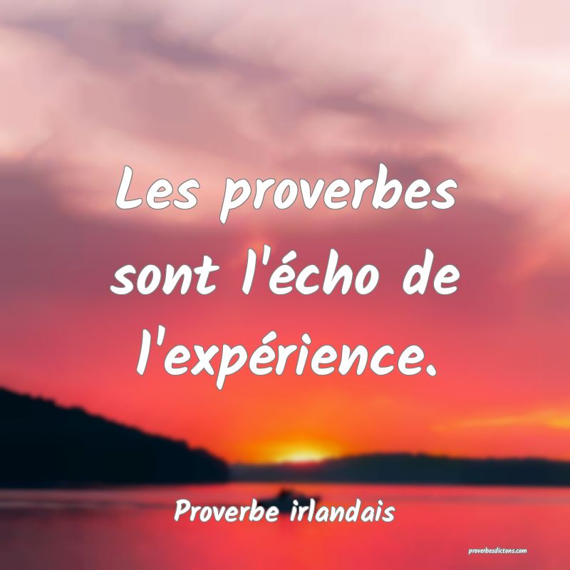 Les proverbes sont l'écho de l'expérience.