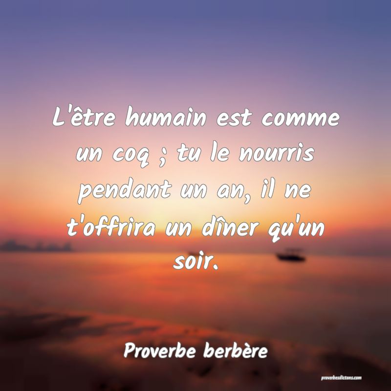 L'être humain est comme un coq ; tu le nourris pendant un an, il ne t'offrira un dîner qu'un soir.