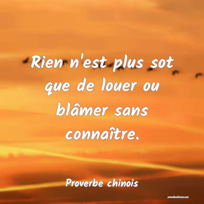 Rien n'est plus sot que de louer ou blâmer sans connaître.