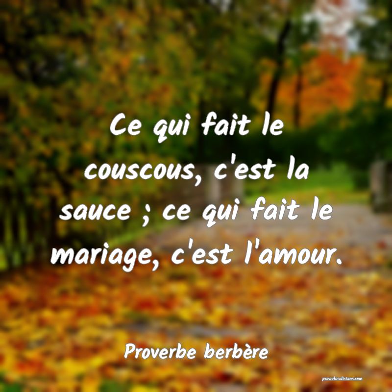 Ce qui fait le couscous, c'est la sauce ; ce qui fait le mariage, c'est l'amour.