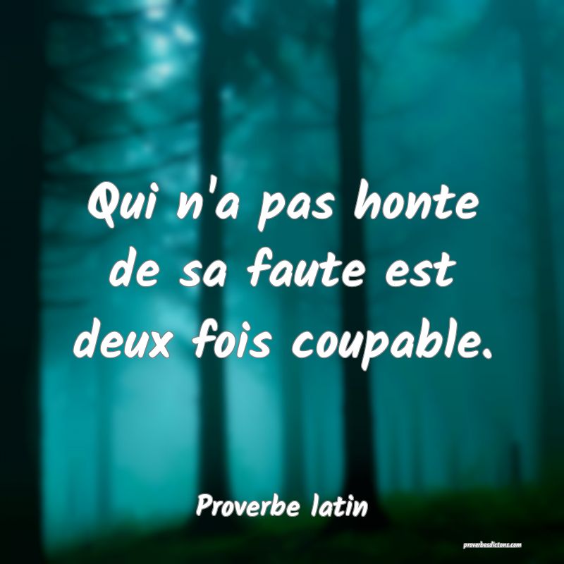 Qui n'a pas honte de sa faute est deux fois coupable.
