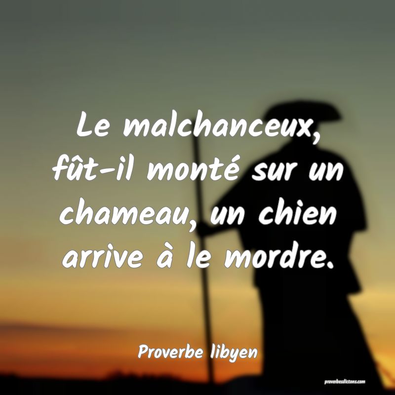 Le malchanceux, fût-il monté sur un chameau, un chien arrive à le mordre.